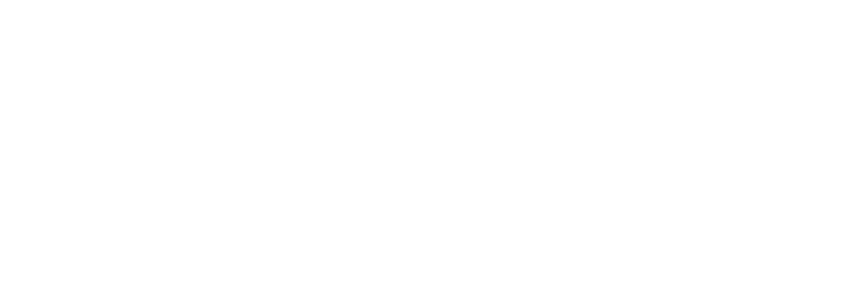 Logo Tetra Chrome Algérie en blanc