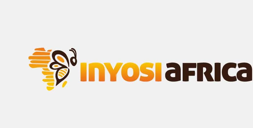 Identité visuelle Inoyosi Africa présentée sur fond clair.